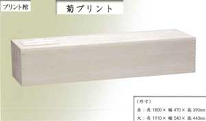 kiku-3